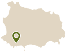 Mappa con segnaposto verde in basso a sinistra.