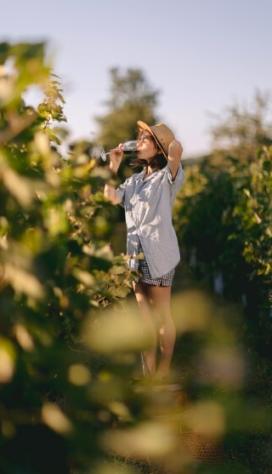 Donna con cappello beve da una bottiglia in un vigneto al tramonto.