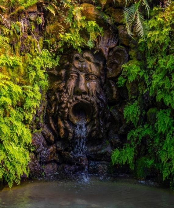 Fontana con volto scolpito tra felci rigogliose e acqua che scorre.