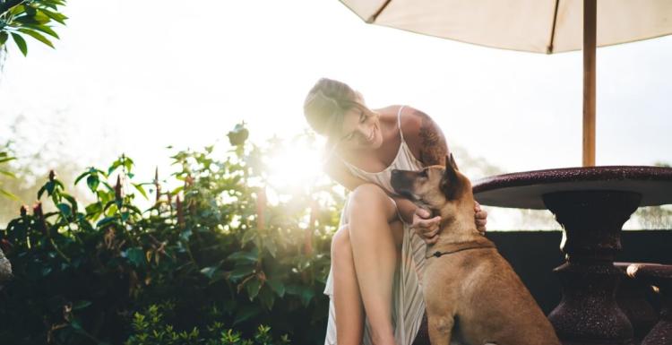 Donna seduta accarezza un cane, luce solare e piante sullo sfondo.